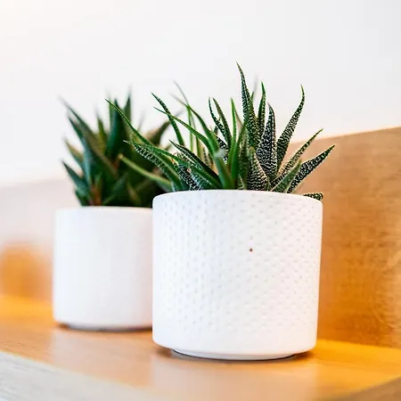 Lilium Apartment