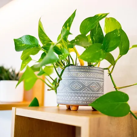 Apartment Lilium *