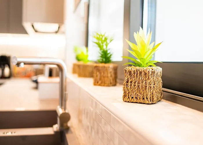 Lilium Daire İstanköy