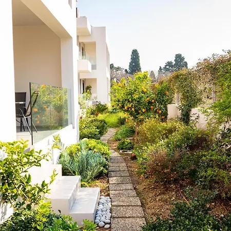 Lilium * Città di Kos