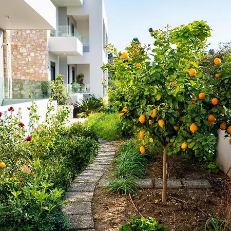 Lilium * Città di Kos