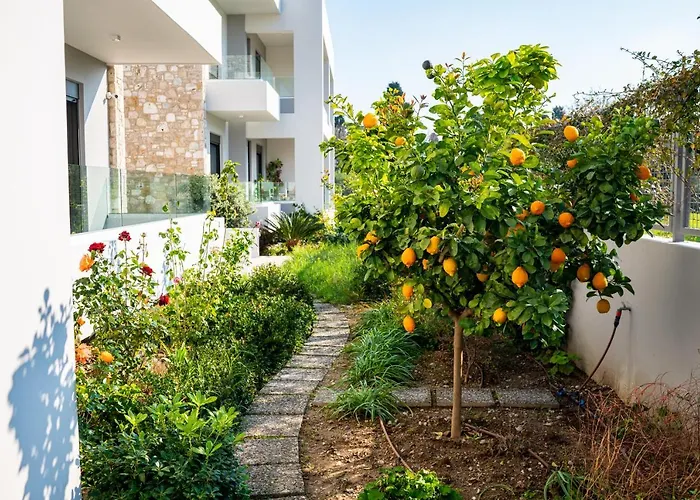 Lilium * Città di Kos